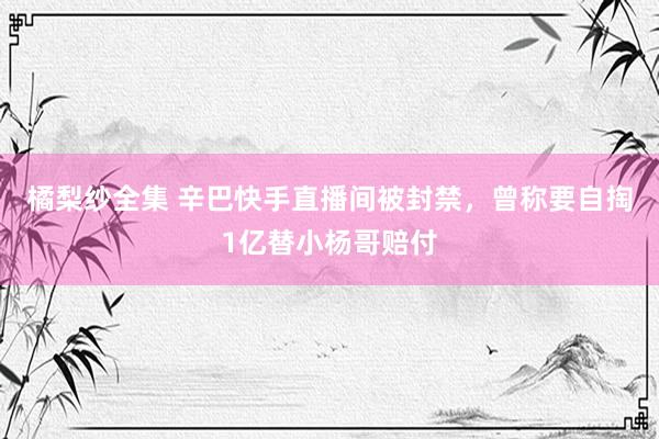 橘梨纱全集 辛巴快手直播间被封禁，曾称要自掏1亿替小杨哥赔付