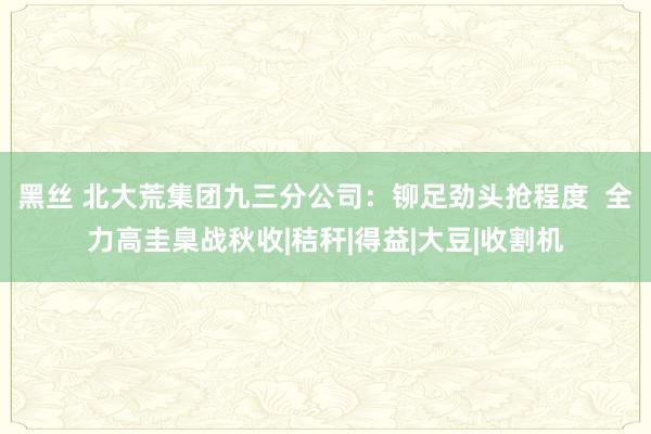 黑丝 北大荒集团九三分公司：铆足劲头抢程度  全力高圭臬战秋收|秸秆|得益|大豆|收割机